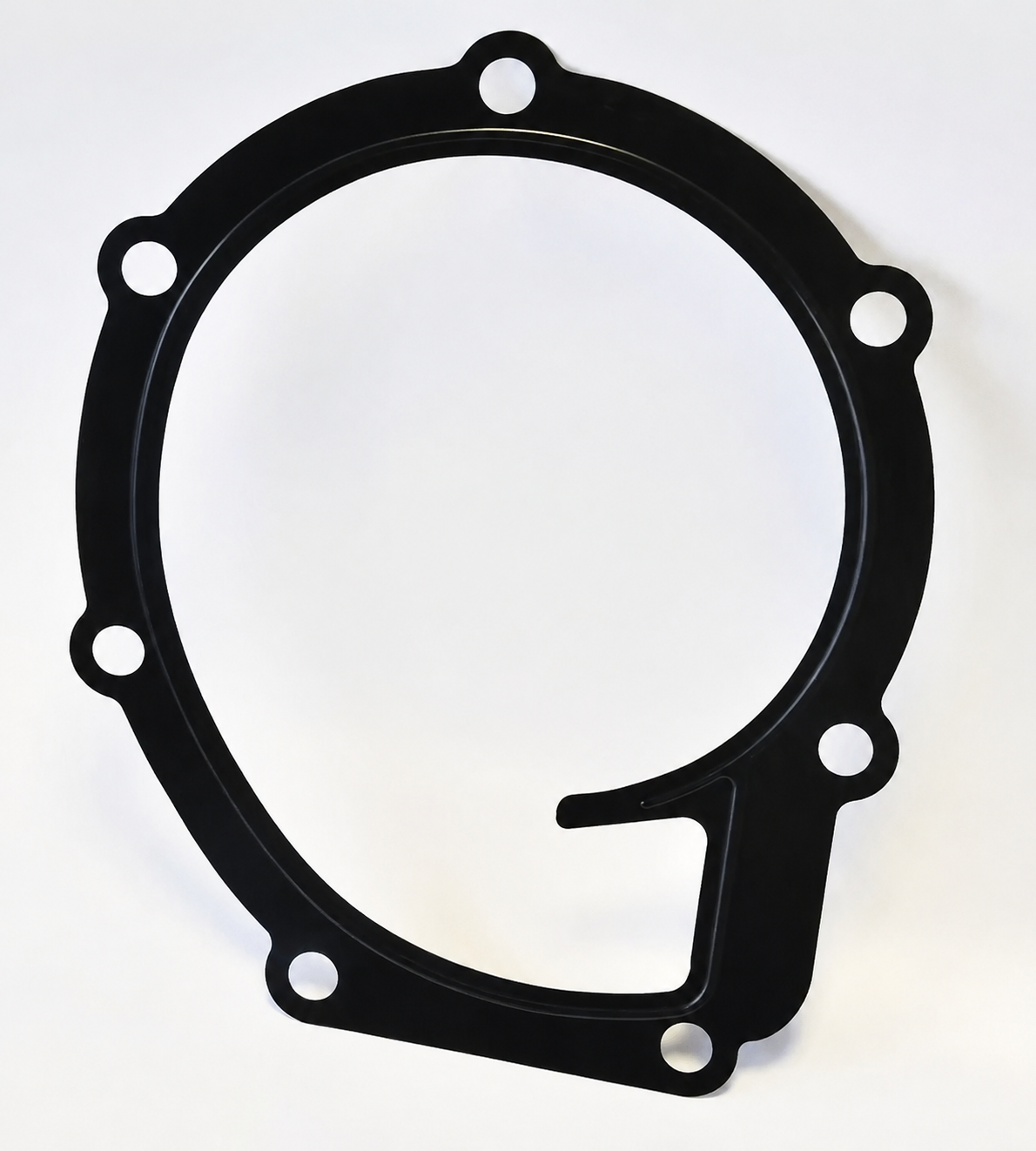 24880234 GASKET WATER PUMP